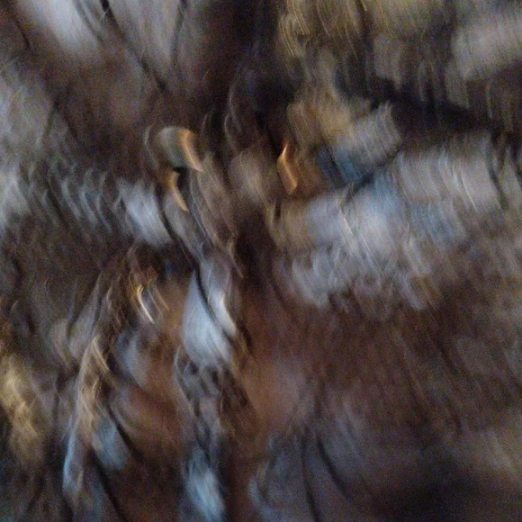 Insight Black and Gray Abstract Metallic Blazer - Picture 3 of 7